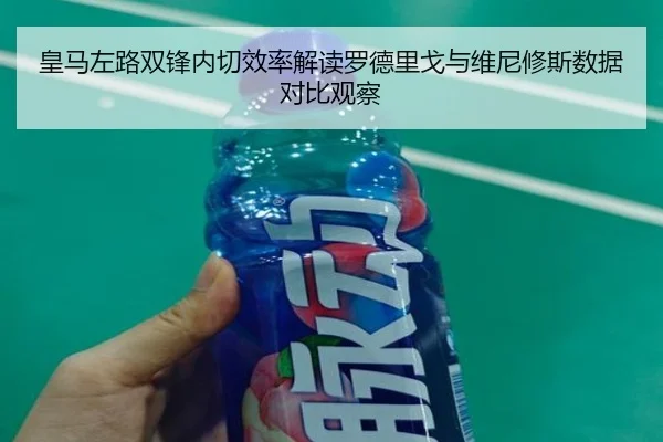 皇马左路双锋内切效率解读罗德里戈与维尼修斯数据对比观察