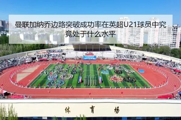 img_1781298708938_2035_1_291.jpg