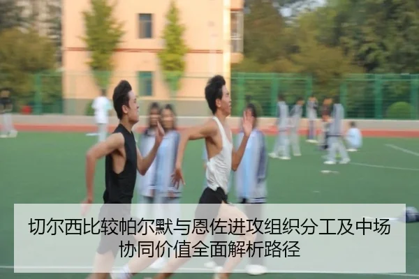 切尔西比较帕尔默与恩佐进攻组织分工及中场协同价值全面解析路径